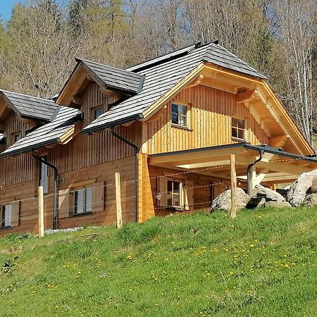 Laerchenhaus ,,Unterer Brodl" Villa Sankt Peter am Kammersberg Dış mekan fotoğraf