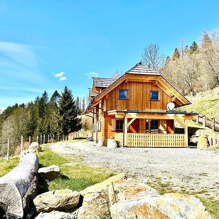 Laerchenhaus ,,Unterer Brodl" Villa Sankt Peter am Kammersberg Dış mekan fotoğraf