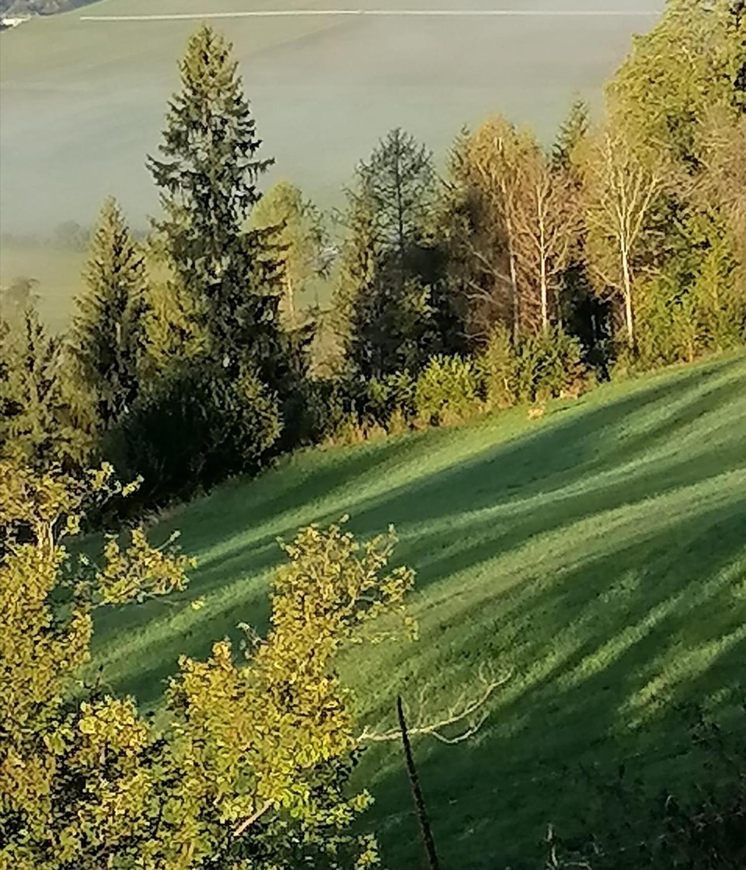 Laerchenhaus ,,Unterer Brodl" Villa Sankt Peter am Kammersberg Dış mekan fotoğraf