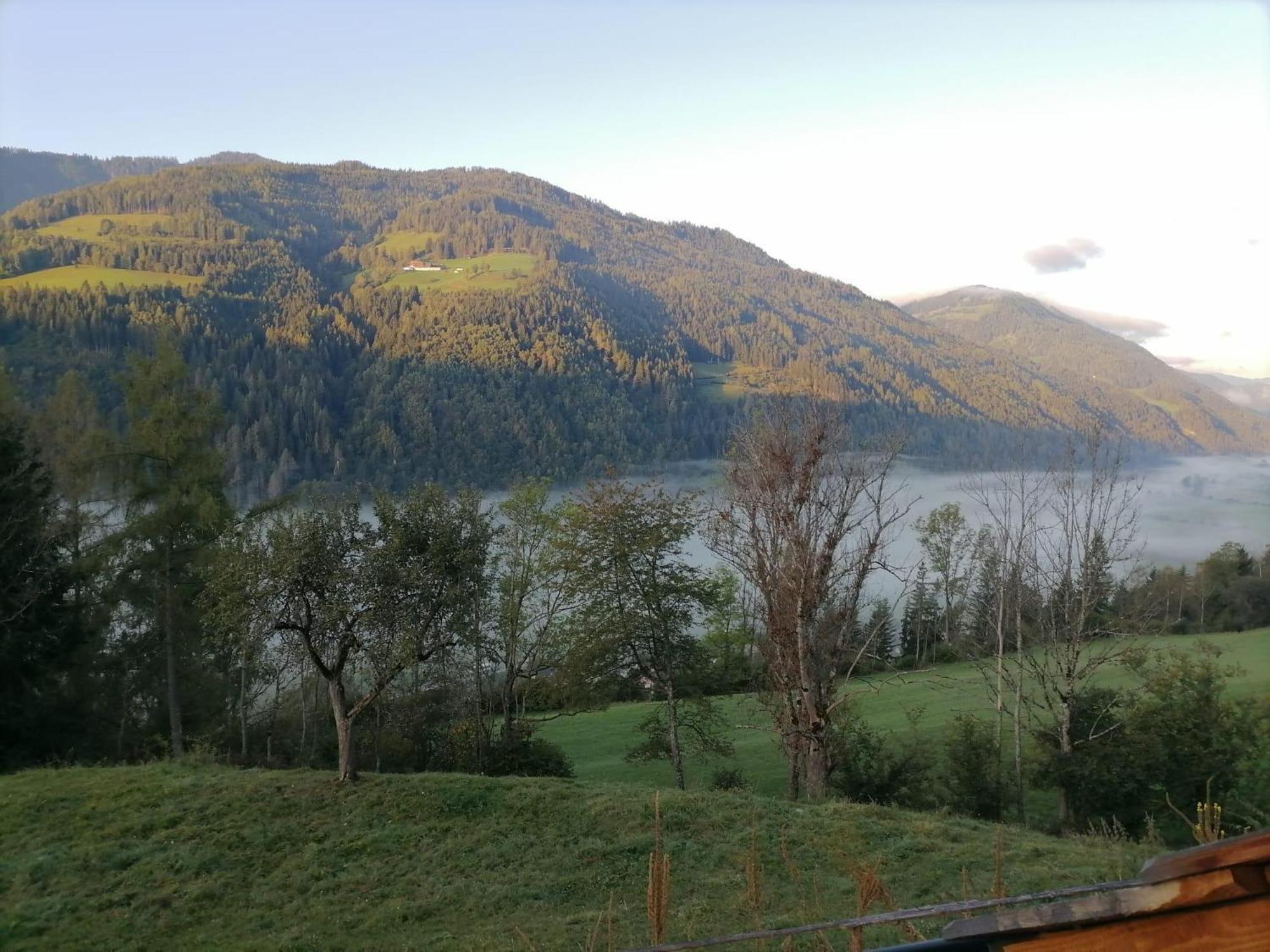 Laerchenhaus ,,Unterer Brodl" Villa Sankt Peter am Kammersberg Dış mekan fotoğraf