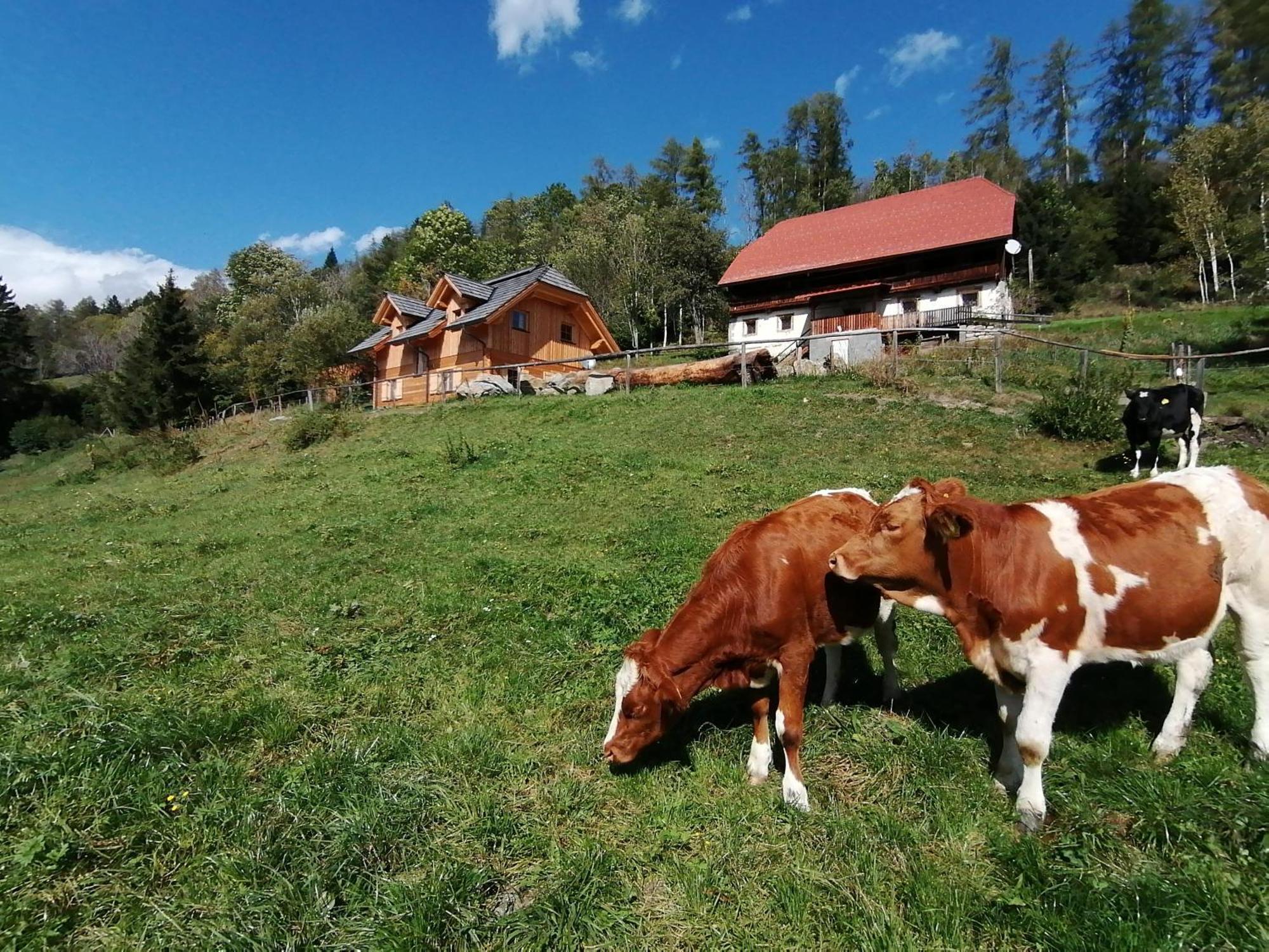 Laerchenhaus ,,Unterer Brodl" Villa Sankt Peter am Kammersberg Dış mekan fotoğraf