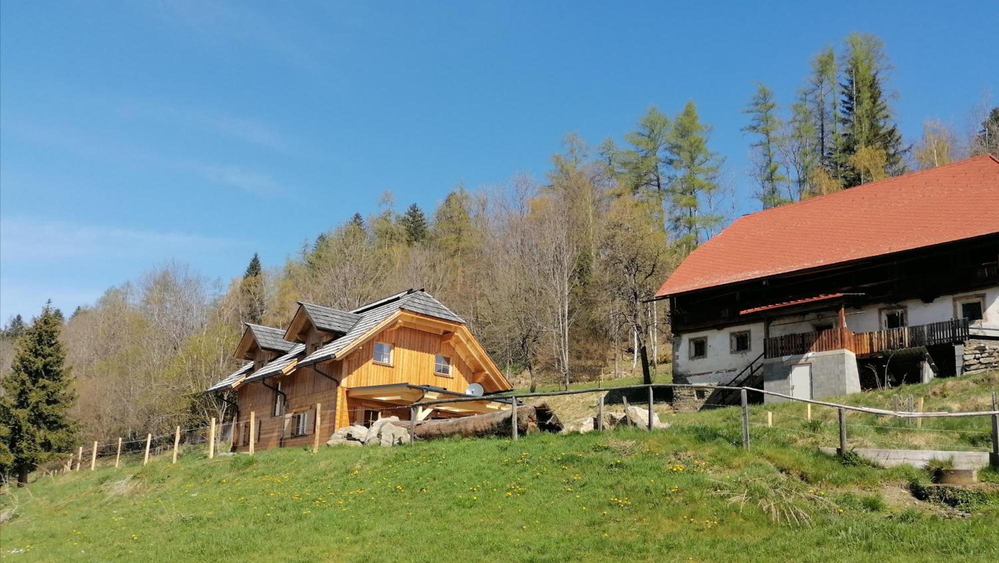 Laerchenhaus ,,Unterer Brodl" Villa Sankt Peter am Kammersberg Dış mekan fotoğraf