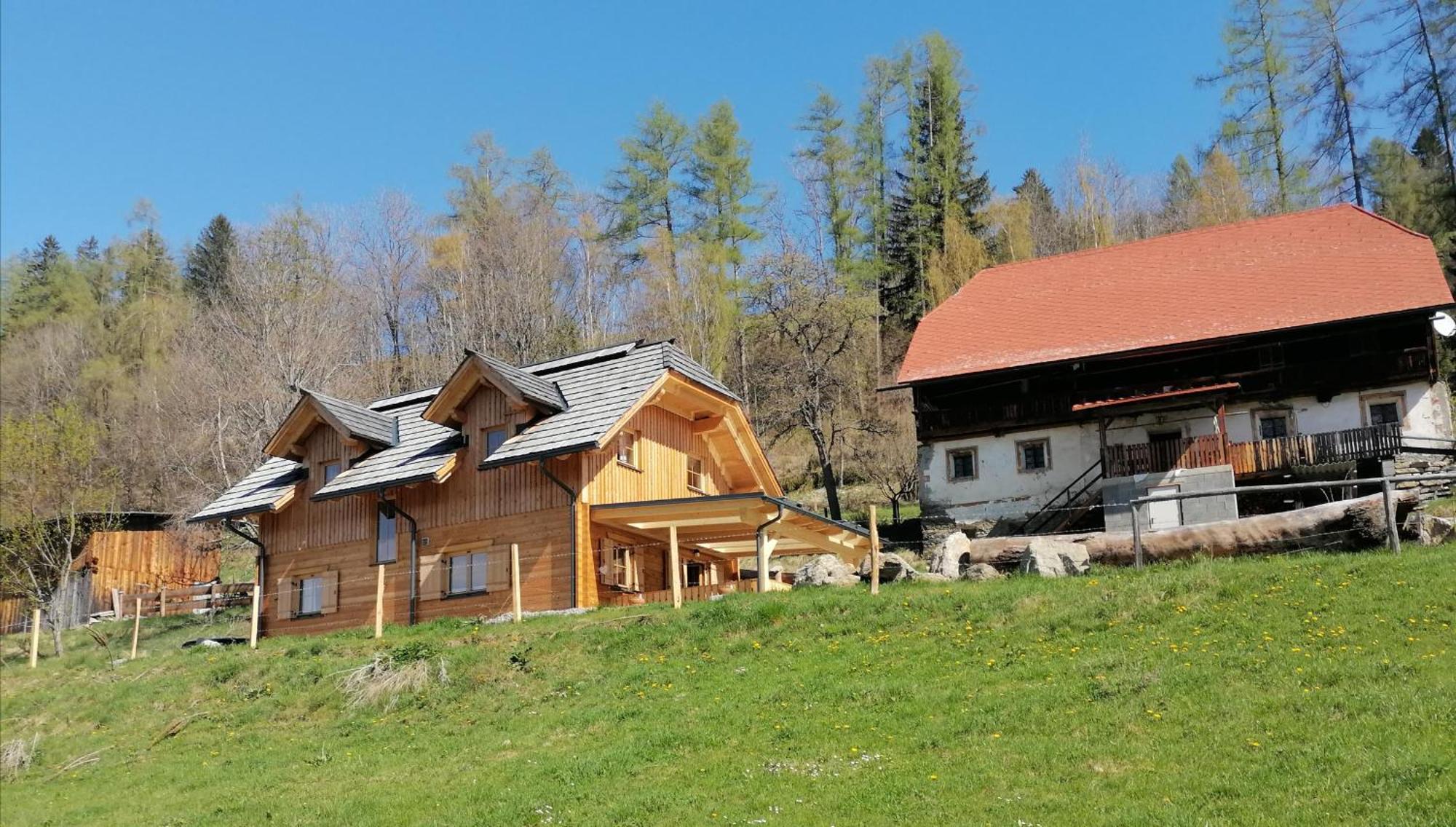 Laerchenhaus ,,Unterer Brodl" Villa Sankt Peter am Kammersberg Dış mekan fotoğraf