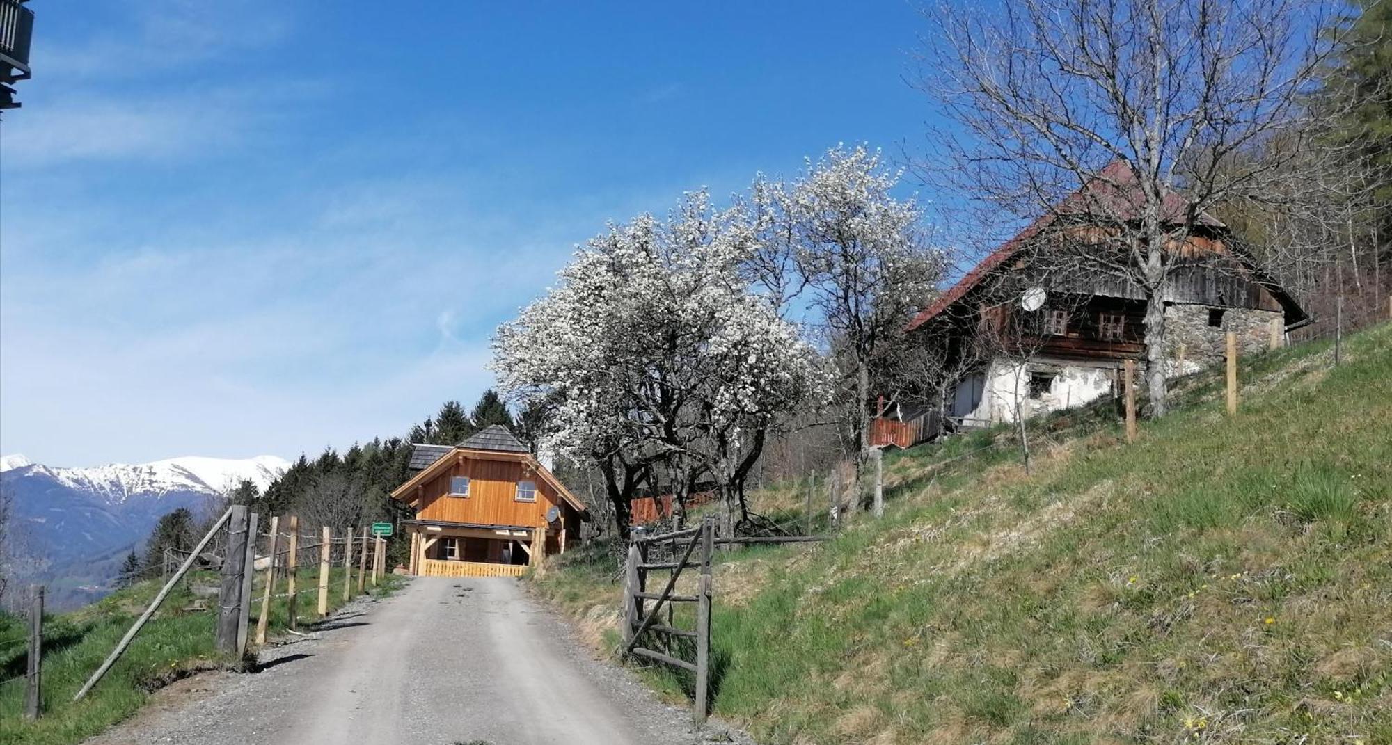 Laerchenhaus ,,Unterer Brodl" Villa Sankt Peter am Kammersberg Dış mekan fotoğraf