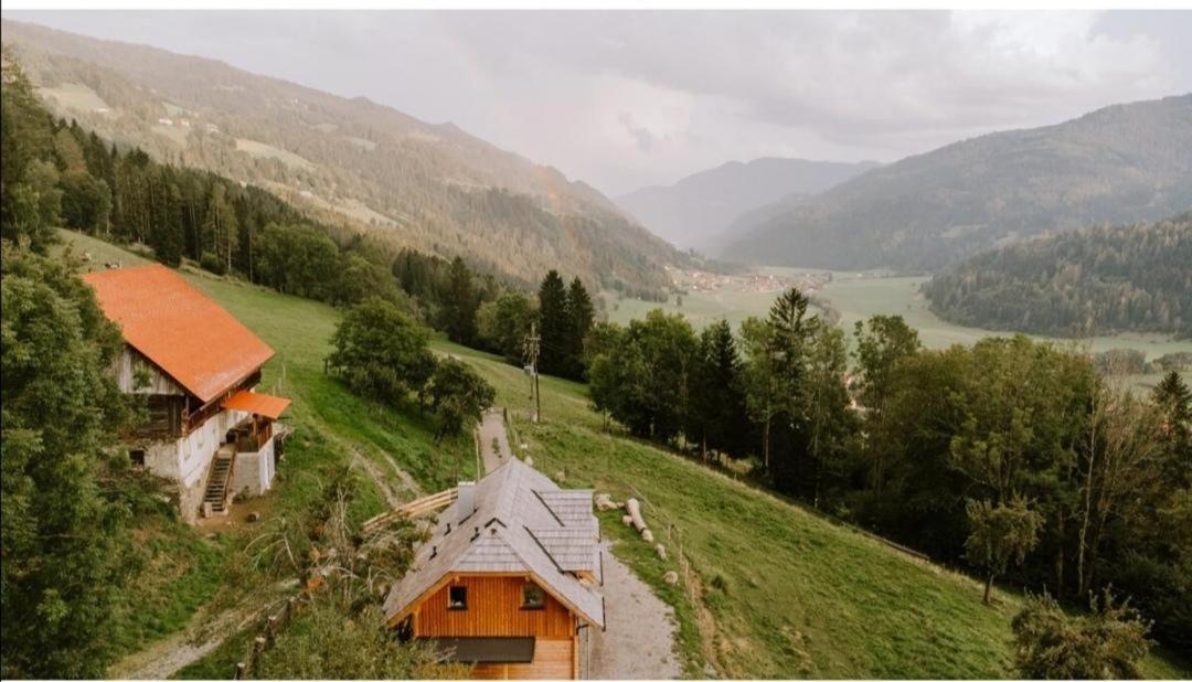 Laerchenhaus ,,Unterer Brodl" Villa Sankt Peter am Kammersberg Dış mekan fotoğraf