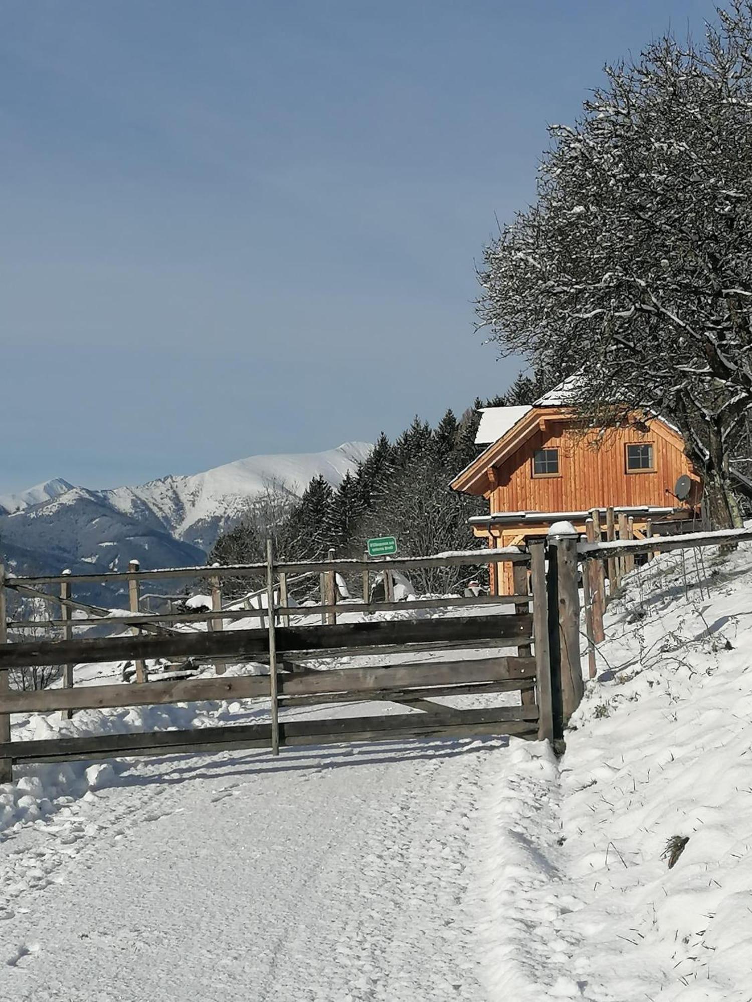 Laerchenhaus ,,Unterer Brodl" Villa Sankt Peter am Kammersberg Dış mekan fotoğraf