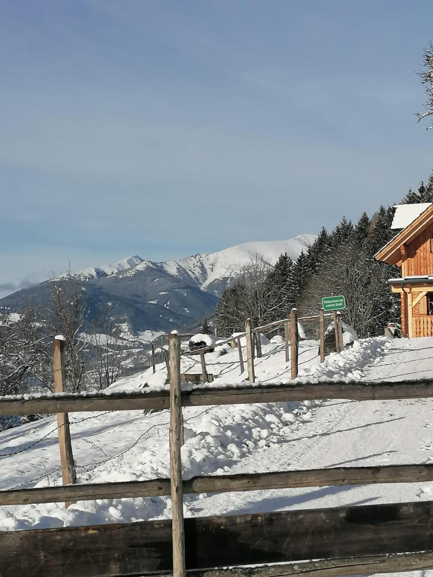 Laerchenhaus ,,Unterer Brodl" Villa Sankt Peter am Kammersberg Dış mekan fotoğraf